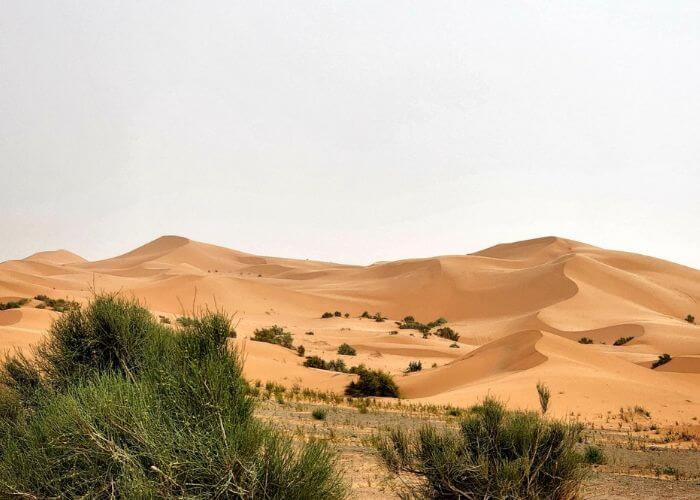 Morocco Guide Services - Chgaga Sand Dunes